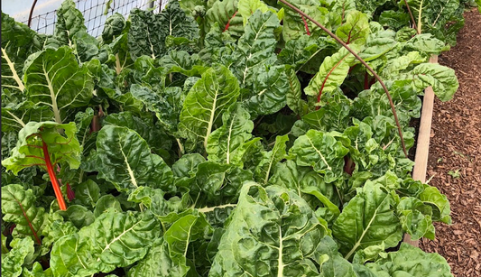 Cowichan Valley Produce - Duncan Garage